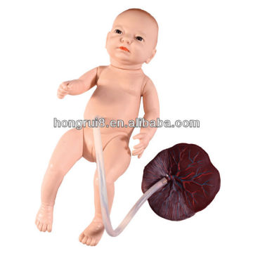 Maniquí Médico Neonatal de Enfermería de Cordón Umbilical